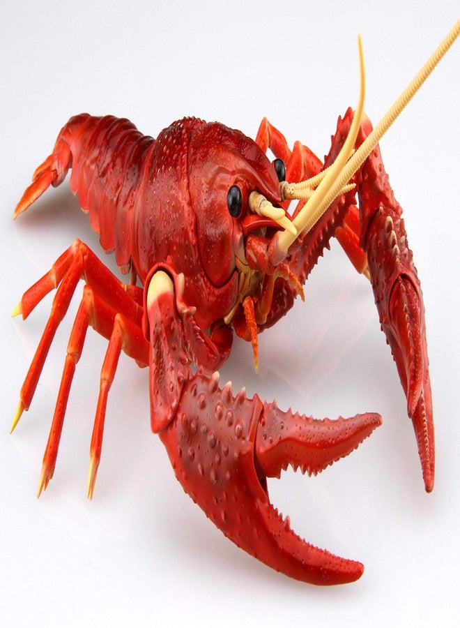 Fujimi Jiyuu Kenkyuu Series No.24 Living Things Swamp Crayfish (Red) Plastic Model - Image 3
